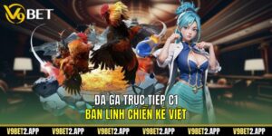 Đá Gà Trực Tiếp C1 – Bản Lĩnh Chiến Kê Việt