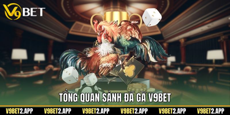 Tổng quan sảnh đá gà v9bet