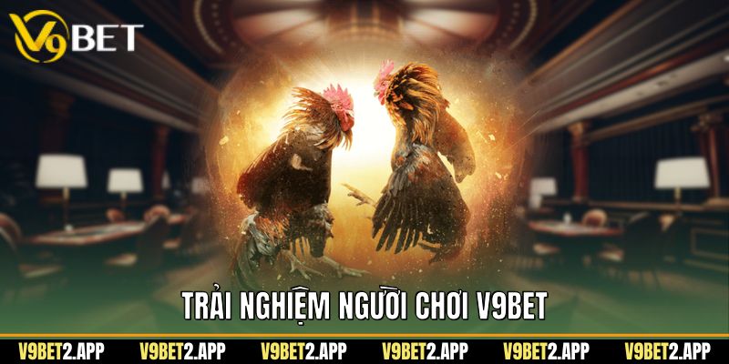 Trải nghiệm người chơi v9bet