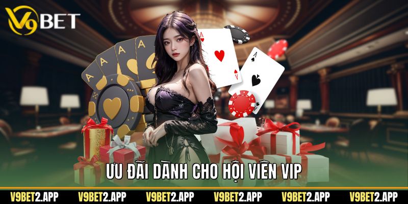 Ưu đãi dành cho hội viên VIP